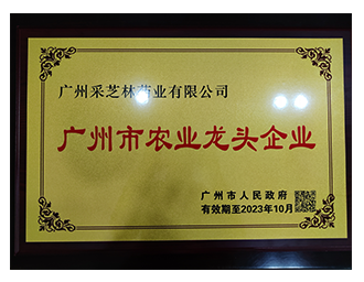 荣获“广州市农业龙头企业”称号
